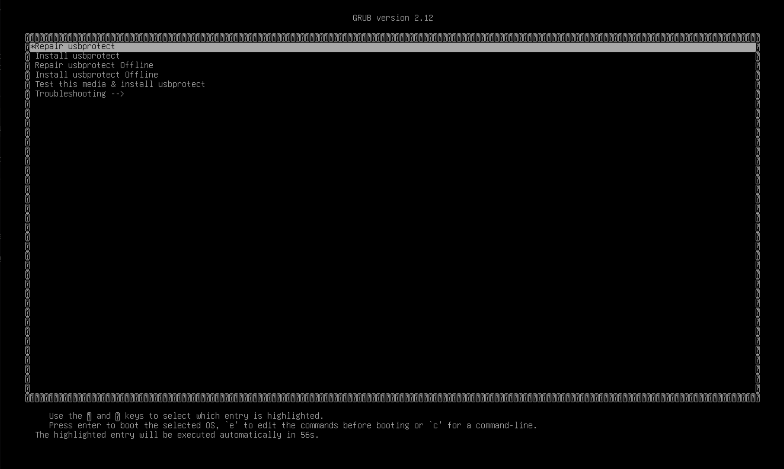 Boot menu, example from a USB Protect installation